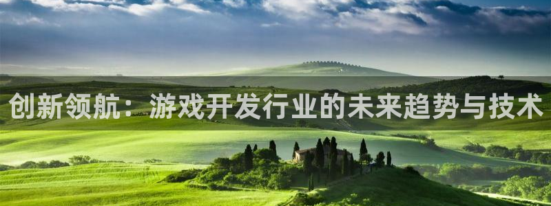 非凡游戏官网子文化有什么游戏