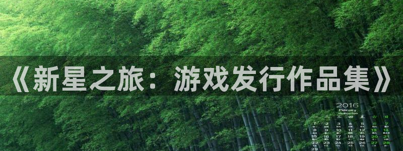 广东非凡游戏官网营销策划有限公司：《新星之旅：游戏发行作品集》