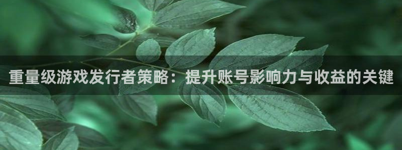 深圳市非凡游戏官网科技有限招聘公司