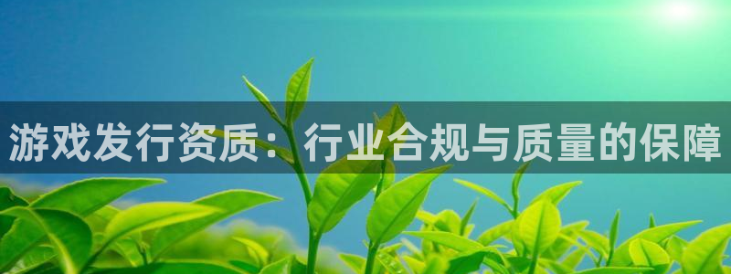 非凡游戏官网烟照片