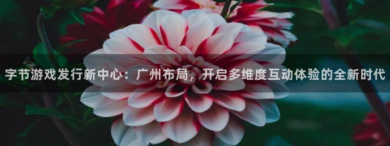 深圳市非凡游戏官网科技有限招聘公司：字节游戏发行新中心：广州布局，开启多维度互动体验的全新时代