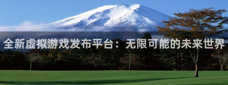 非凡游戏官网电子商务有限公司地址：全新虚拟游戏发布平台：无限可能的未来世界