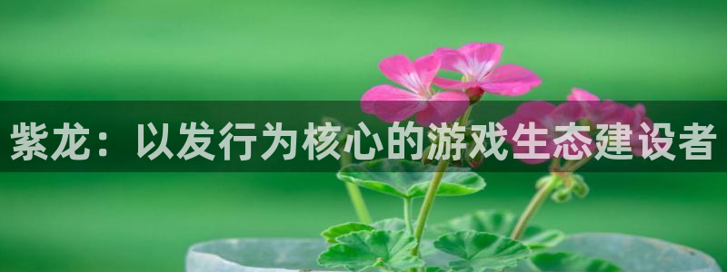 非凡游戏平台怎么样可靠吗