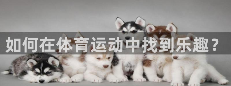 球王会体育