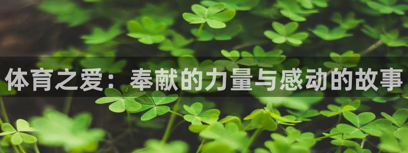 球王会体育