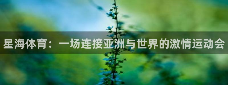 球王会体育