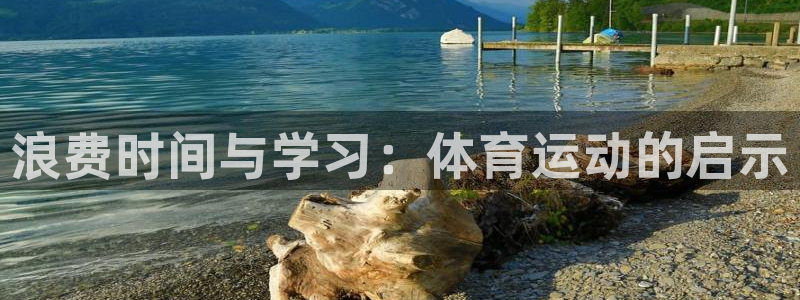 球王会体育