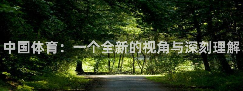 球王会体育